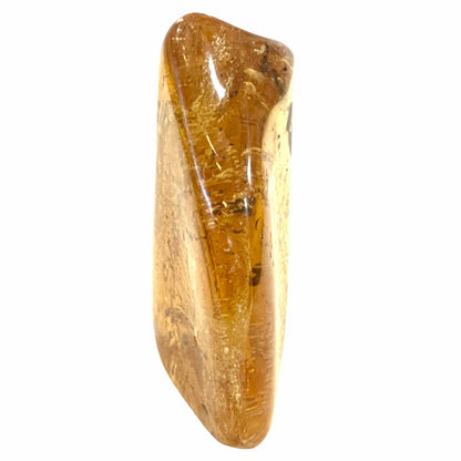 3 Inches Copal Colombian Amber