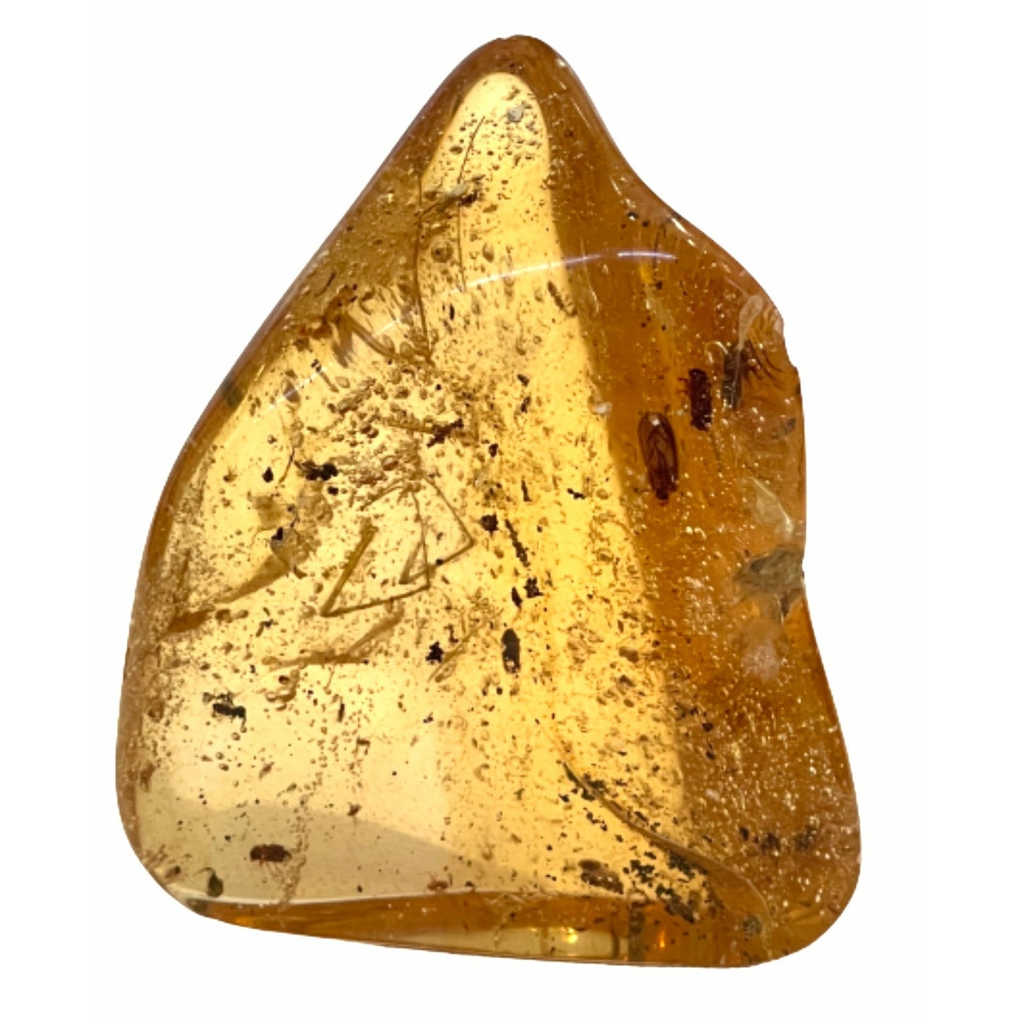 3 Inches Copal Colombian Amber