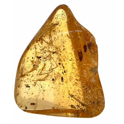 3 Inches Copal Colombian Amber