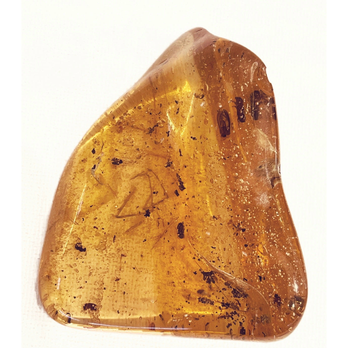 3 Inches Copal Colombian Amber