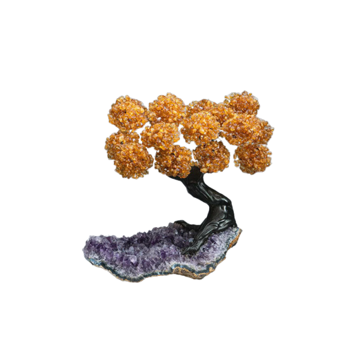 Genuine Citrine Clustered Gemstone Tree on Amethyst Matrix (The Money Tree)