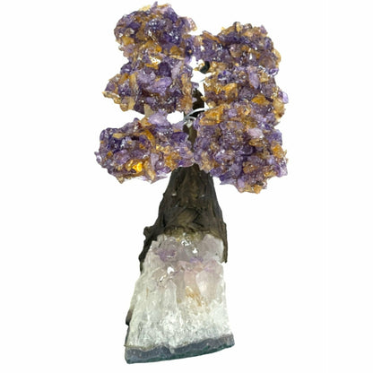 Medium Positive Energy & Money Tree - Ametrine