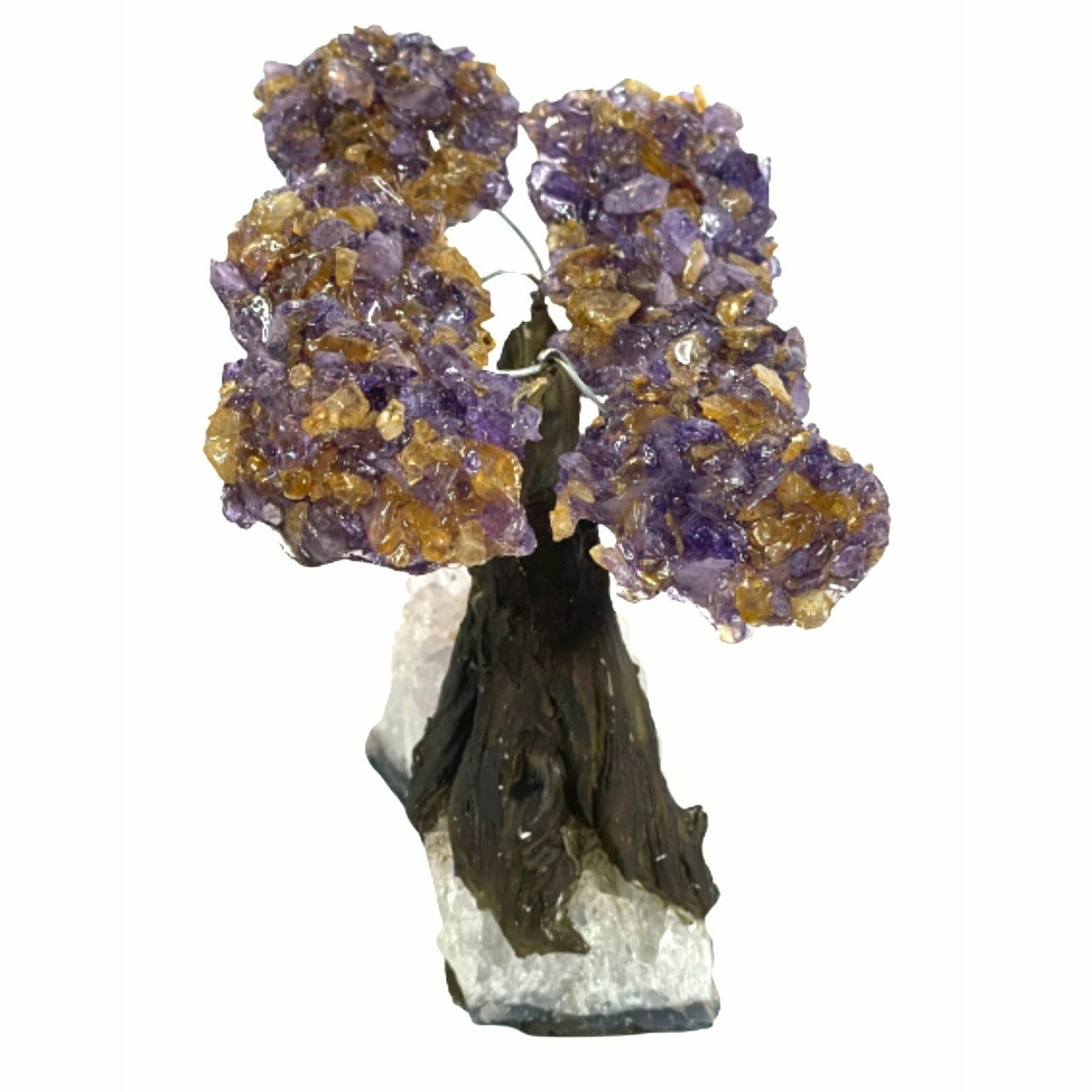 Medium Positive Energy & Money Tree - Ametrine