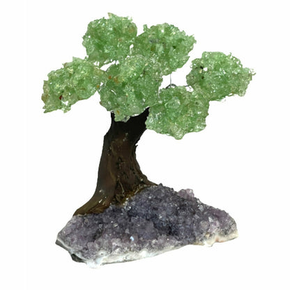 Medium Prosperity, Wealth, and and Good Luck Tree - Green Aventurine