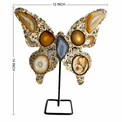 Agate butterfly, agate slices, Brazil