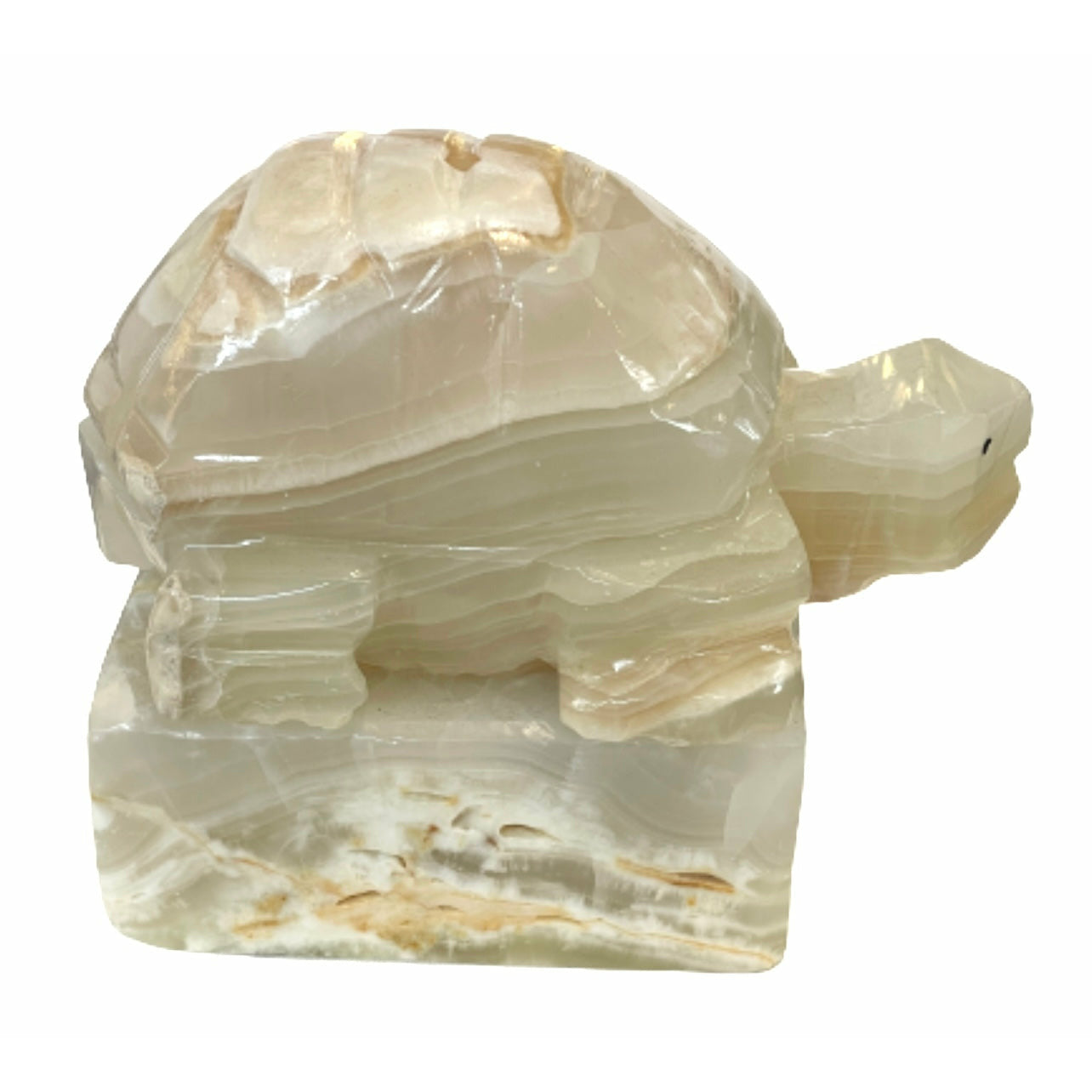 6 Inch White Onyx High-Quality Marble Turtle Lamp