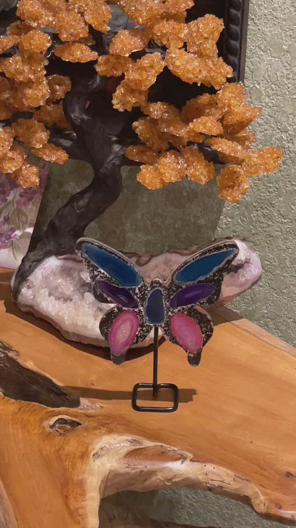 9" Tall Multi-Color Brazilian Agate "Butterfly Wings"